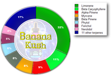 Load image into Gallery viewer, The Kaizen Collection - Banana Kush