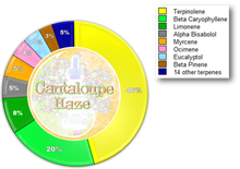 Load image into Gallery viewer, The Alchemy Collection - Cantaloupe Haze