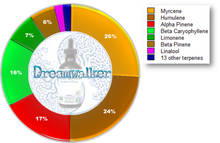 Load image into Gallery viewer, The Providence Collection - DreamWalker