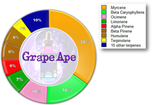 Load image into Gallery viewer, Kaizen Collection MINI - Grape Ape (10mL)