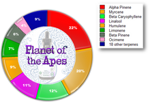 Load image into Gallery viewer, Providence Collection MINI - Planet of the Apes (15mL)