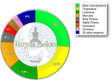 Load image into Gallery viewer, Providence Collection MINI - Royal Melon (15mL)