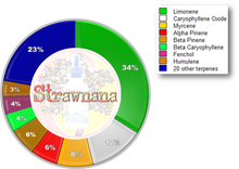 Load image into Gallery viewer, The Alchemy Collection - Strawnana