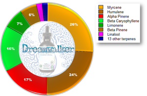 The Providence Collection - DreamWalker