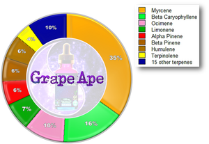 Kaizen Collection MINI - Grape Ape (10mL)