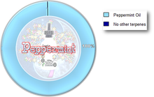 Load image into Gallery viewer, Alchemy Collection MINI - Peppermint (10mL)