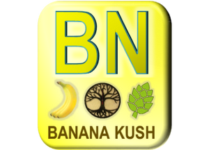 The Kaizen Collection - Banana Kush