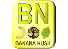 Load image into Gallery viewer, Kaizen Collection MINI - Banana Kush (10mL)