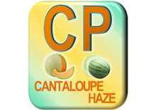 Load image into Gallery viewer, The Alchemy Collection - Cantaloupe Haze